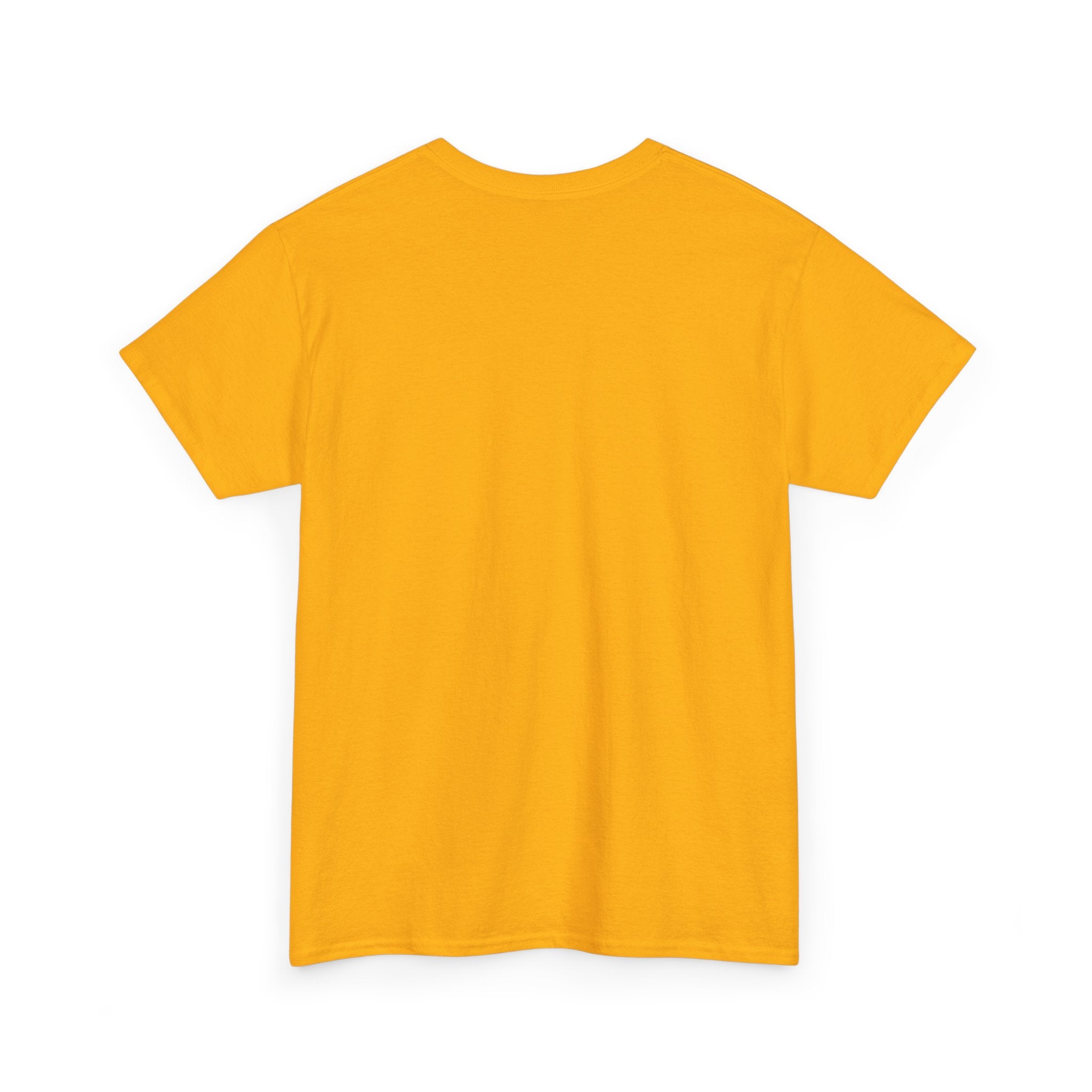 Family Cruise Trip T-Shirt | Retro Cruise Ship Design
